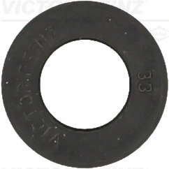 Seal Ring, valve stem